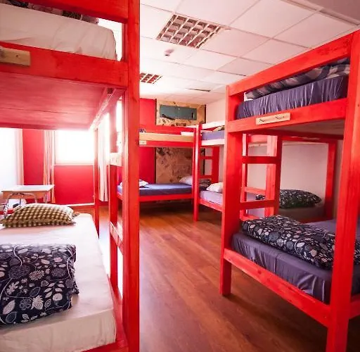 Red Emperor * タリン